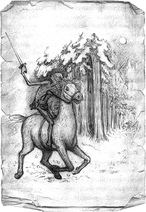 Тенистый лес Тенистый лес