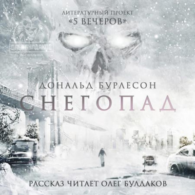 Бурлесон Дональд - Снегопад