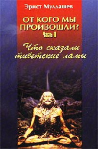 Что сказали тибетские ламы - Эрнст Мулдашев