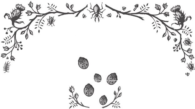 Ночные кошмары! Ночные кошмары!