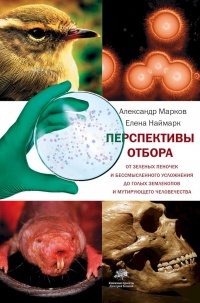 Перспективы отбора - Елена Наймарк
