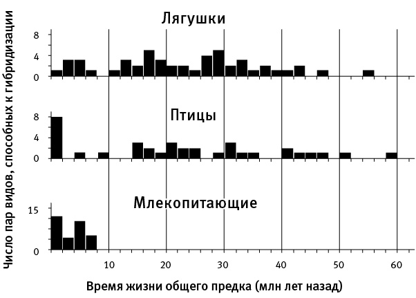 Перспективы отбора