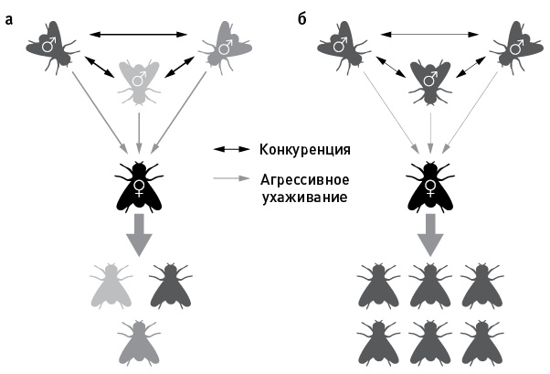 Перспективы отбора