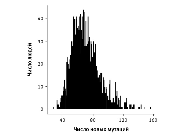 Перспективы отбора Перспективы отбора