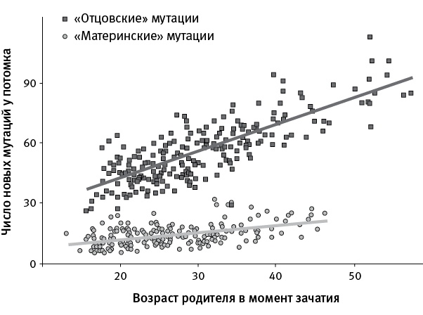 Перспективы отбора Перспективы отбора
