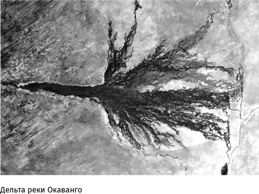 Маленький плохой заяц, или Взаимосвязь религии и окружающей среды Маленький плохой заяц, или Взаимосвязь религии и окружающей среды