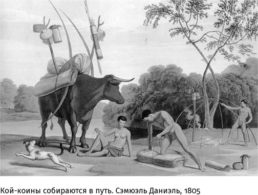 Маленький плохой заяц, или Взаимосвязь религии и окружающей среды Маленький плохой заяц, или Взаимосвязь религии и окружающей среды