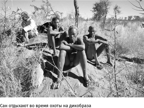 Маленький плохой заяц, или Взаимосвязь религии и окружающей среды Маленький плохой заяц, или Взаимосвязь религии и окружающей среды