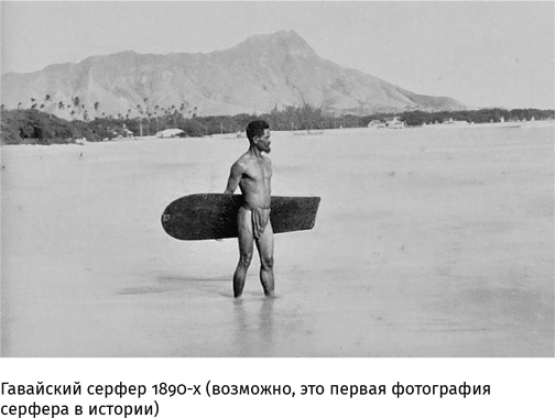 Маленький плохой заяц, или Взаимосвязь религии и окружающей среды Маленький плохой заяц, или Взаимосвязь религии и окружающей среды