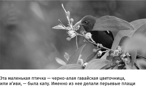 Маленький плохой заяц, или Взаимосвязь религии и окружающей среды Маленький плохой заяц, или Взаимосвязь религии и окружающей среды