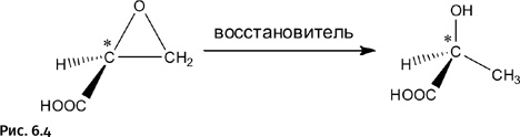 Карнавал молекул Карнавал молекул