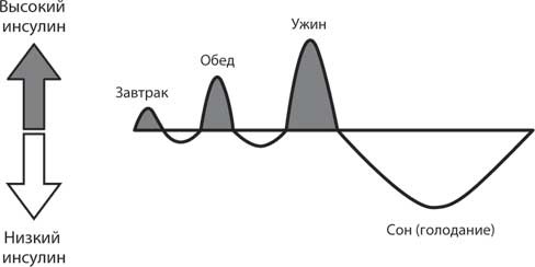 Код ожирения Код ожирения