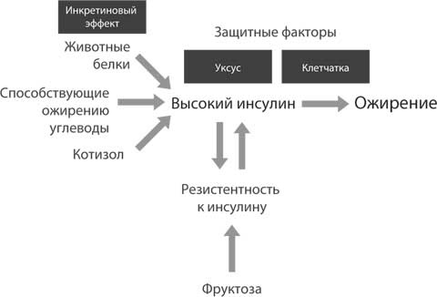 Код ожирения Код ожирения