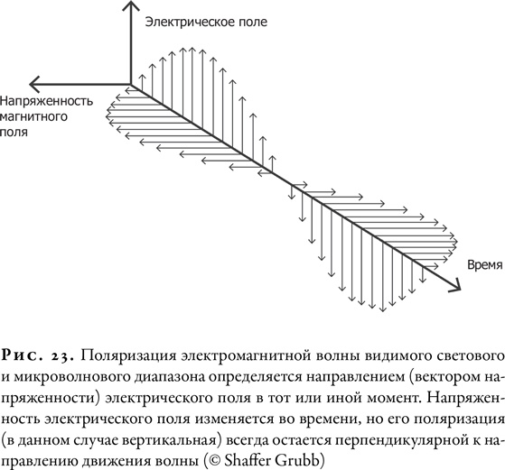 Гонка за Нобелем