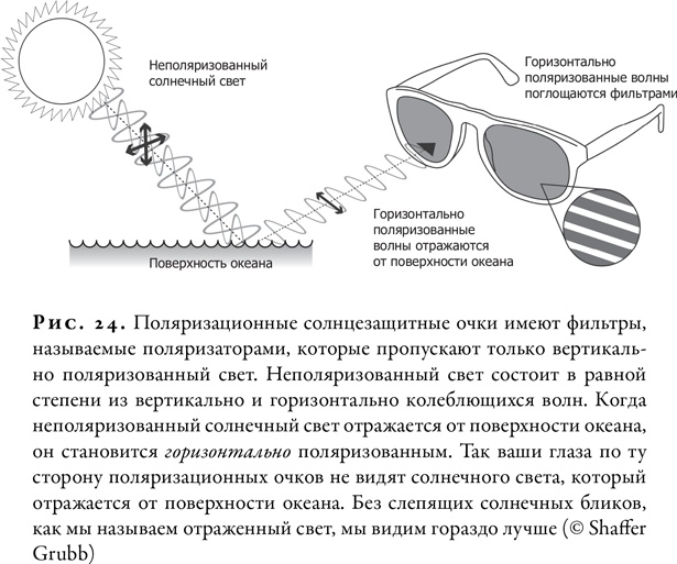 Гонка за Нобелем