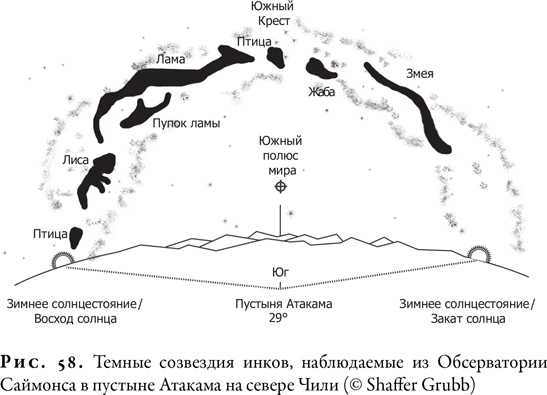 Гонка за Нобелем