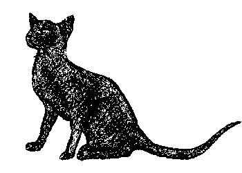 Кот для двоих Кот для двоих