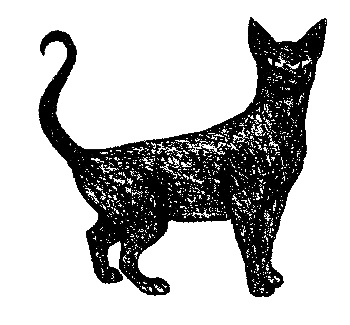Кот для двоих Кот для двоих