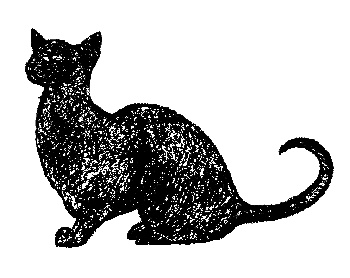 Кот для двоих Кот для двоих