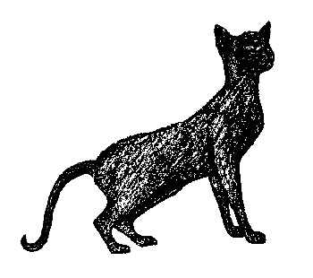 Кот для двоих Кот для двоих