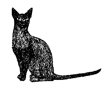 Кот для двоих Кот для двоих