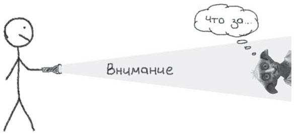 Путь джедая Путь джедая