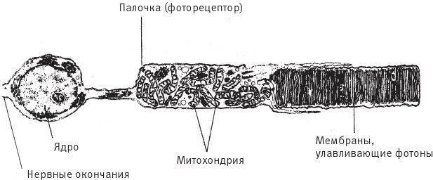 Восхождение на гору Невероятности Восхождение на гору Невероятности