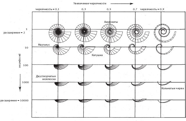 Восхождение на гору Невероятности Восхождение на гору Невероятности