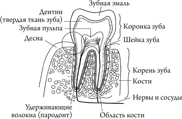 Человек Противный Человек Противный