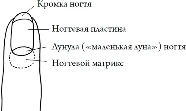 Человек Противный