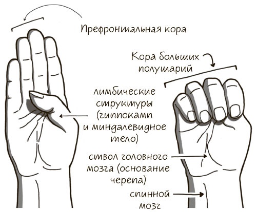 Сознавание Сознавание