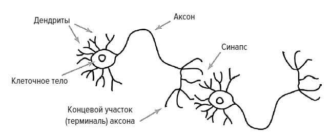 Зачем мы говорим Зачем мы говорим