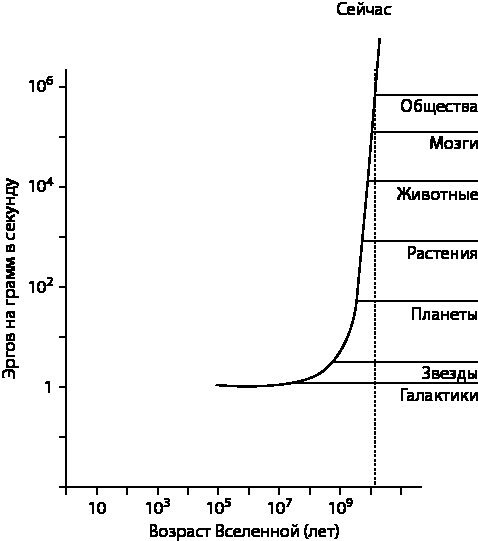 Эволюция. От Дарвина до современных теорий Эволюция. От Дарвина до современных теорий