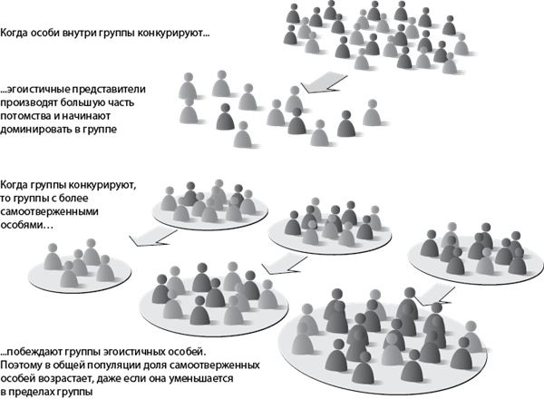 Эволюция. От Дарвина до современных теорий Эволюция. От Дарвина до современных теорий