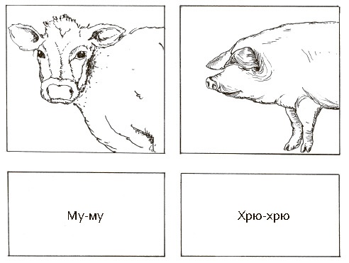 Сбитые с толку Сбитые с толку