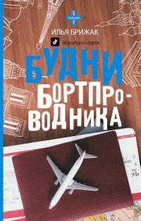 Будни бортпроводника - Илья Брижак