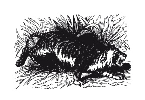Книга, которую читают все Книга, которую читают все