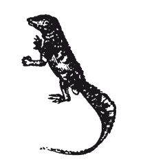 Книга, которую читают все Книга, которую читают все