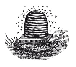 Книга, которую читают все Книга, которую читают все