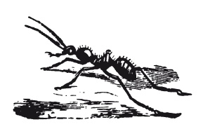 Книга, которую читают все Книга, которую читают все