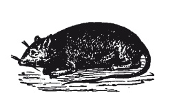 Книга, которую читают все Книга, которую читают все