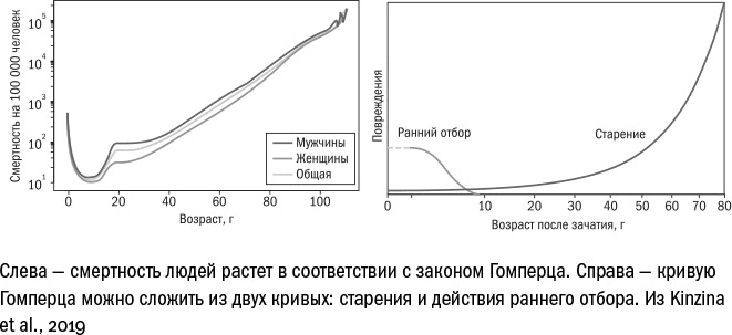 Против часовой стрелки Против часовой стрелки