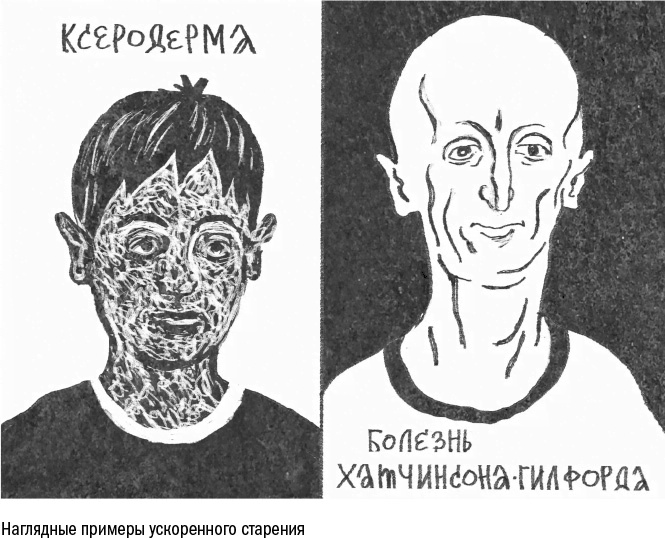 Против часовой стрелки Против часовой стрелки