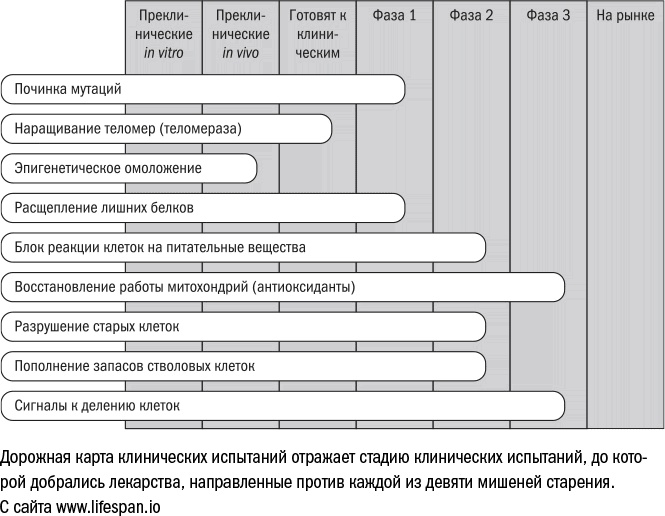 Против часовой стрелки Против часовой стрелки