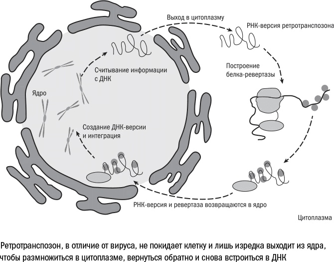 Против часовой стрелки