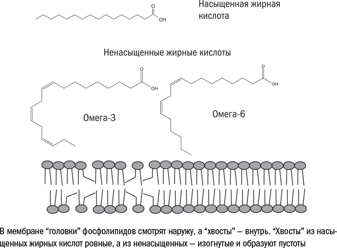 Против часовой стрелки