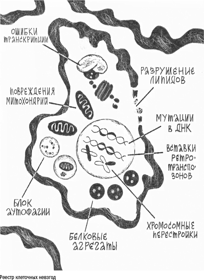 Против часовой стрелки