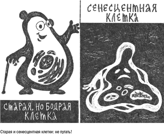 Против часовой стрелки