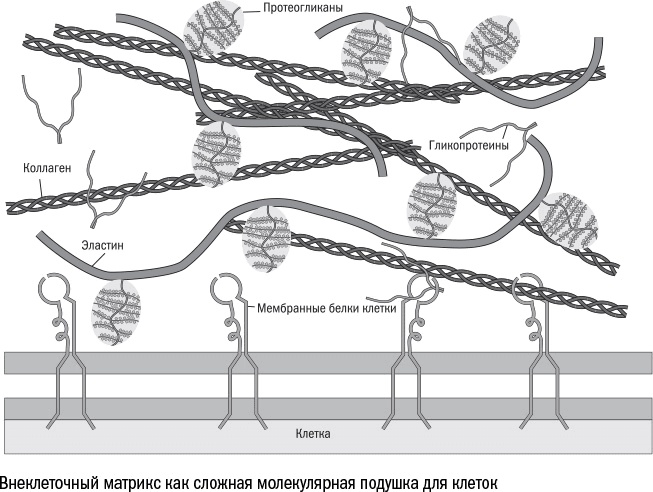 Против часовой стрелки Против часовой стрелки