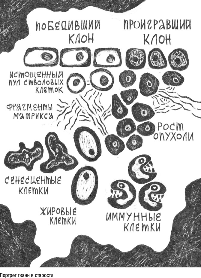 Против часовой стрелки Против часовой стрелки